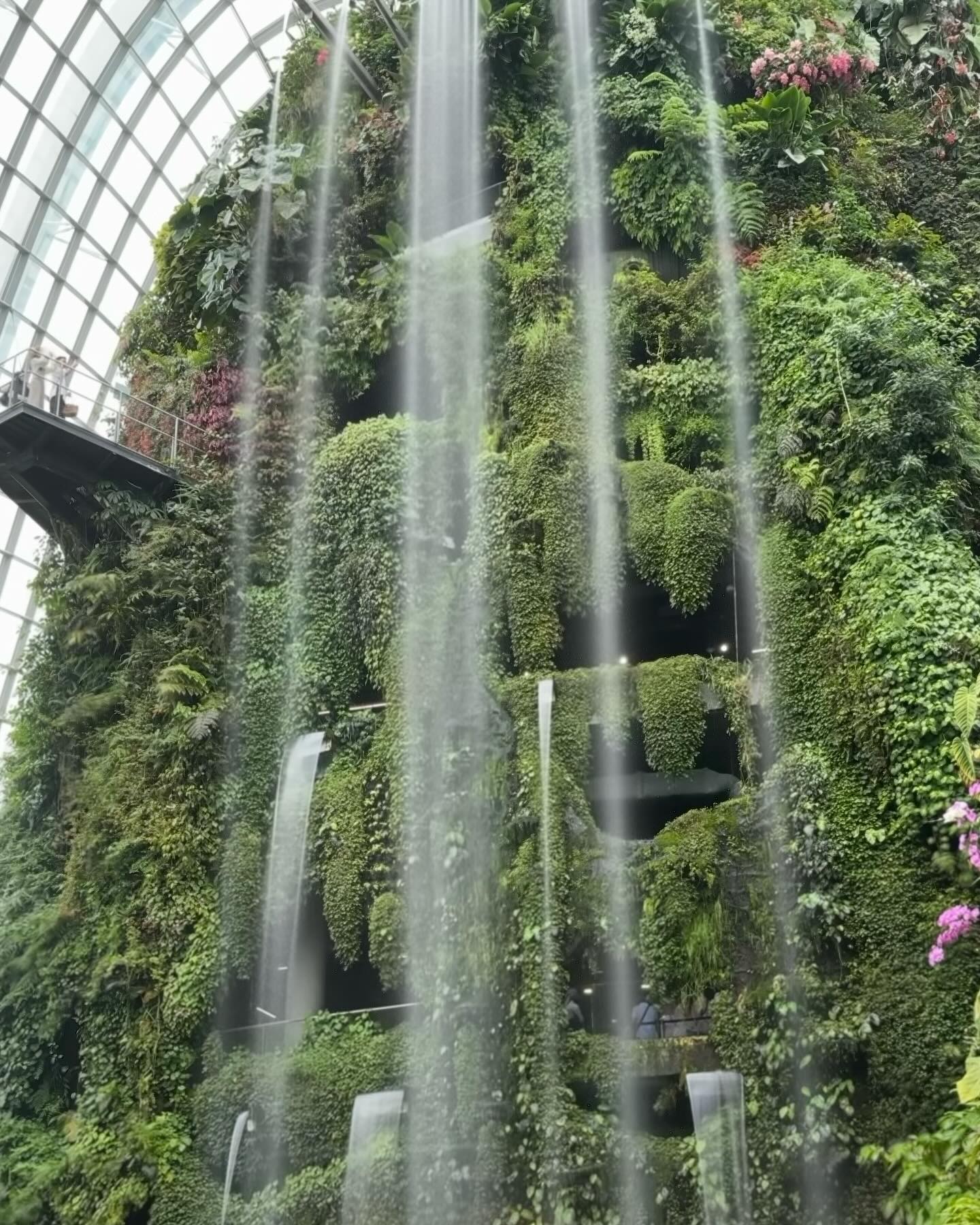 #GardensByTheBay #CloudForest Part 2 (4)