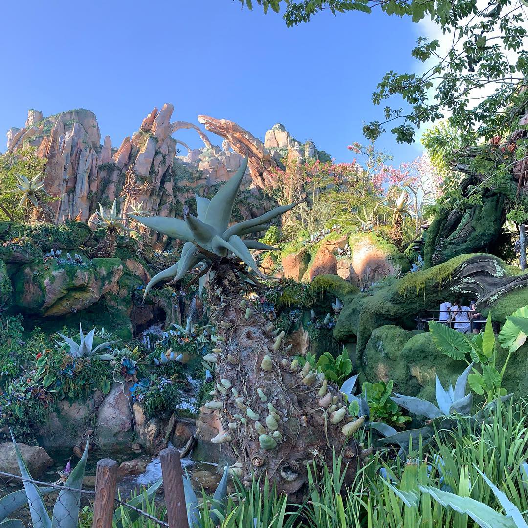 An amazing environment, thanks to Disney’s imagineers (3)