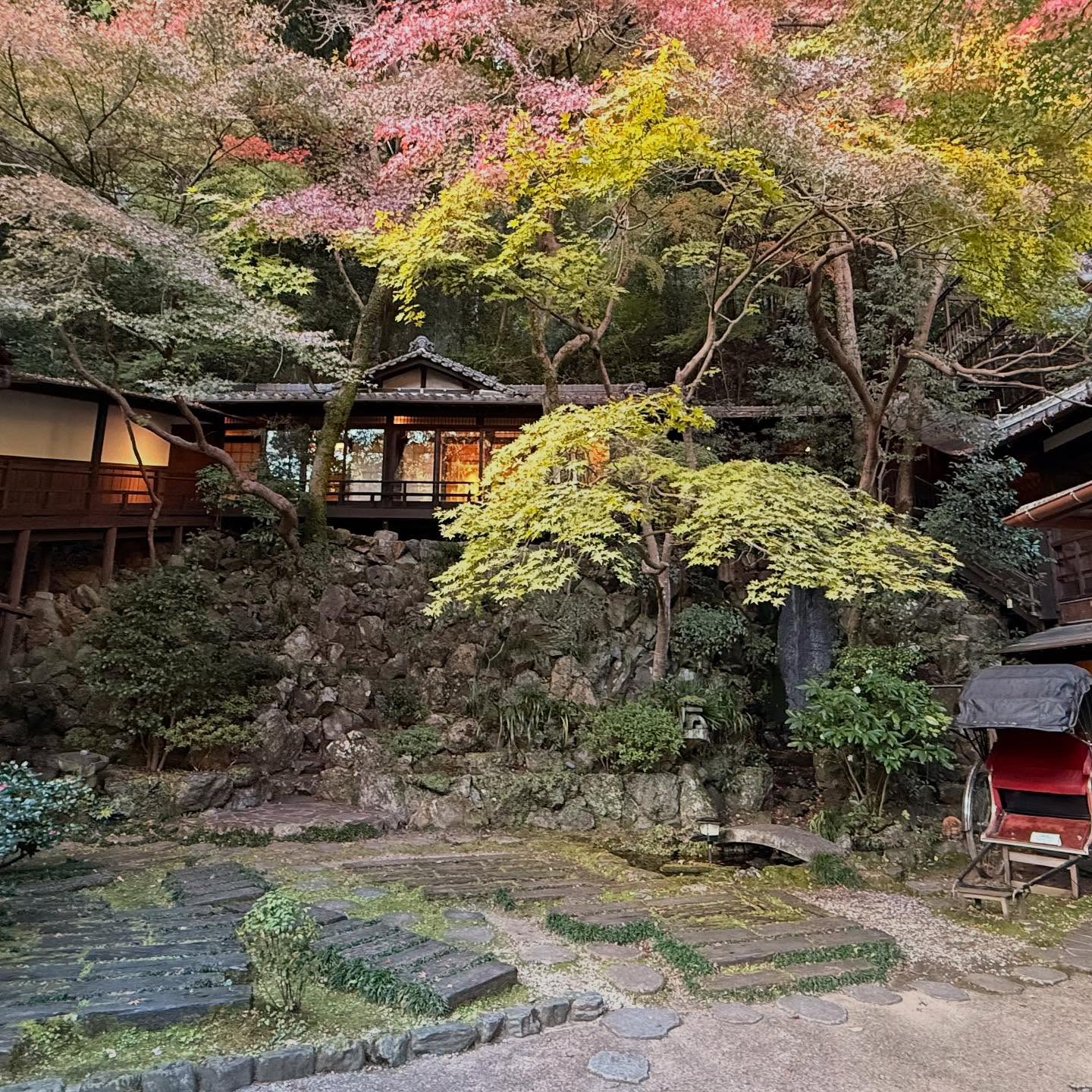 Fall foliage throughout the path to the falls #osaka (14)