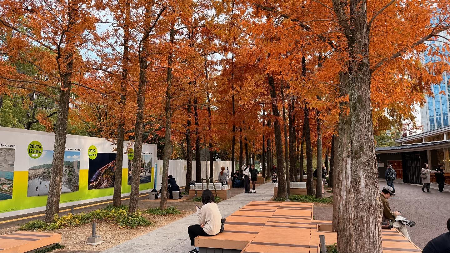 Walk about in #kobe #japan (3)