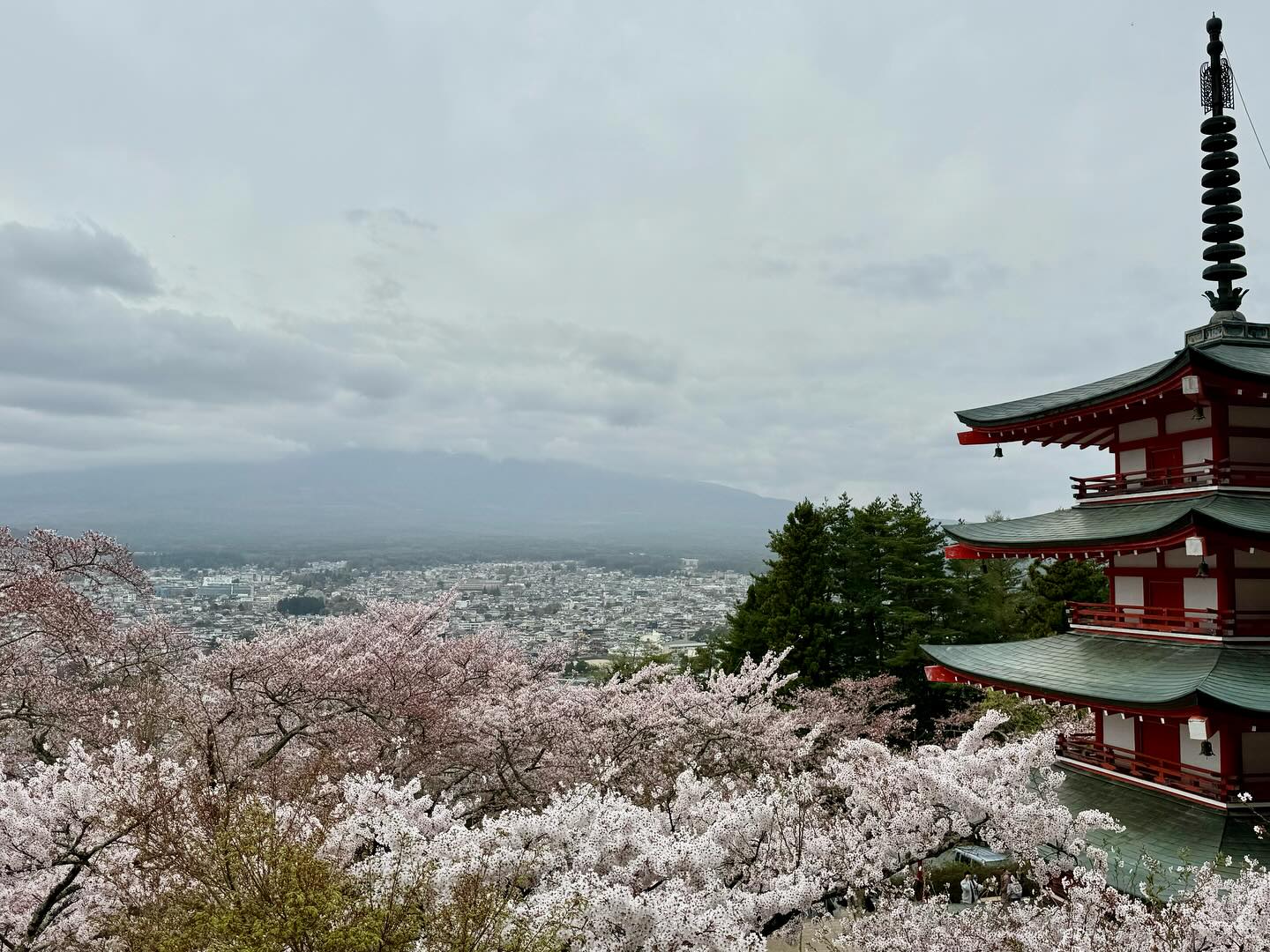 Made a special trip to #MtFuji but it was covered with clouds. Got to see seas of… (5)