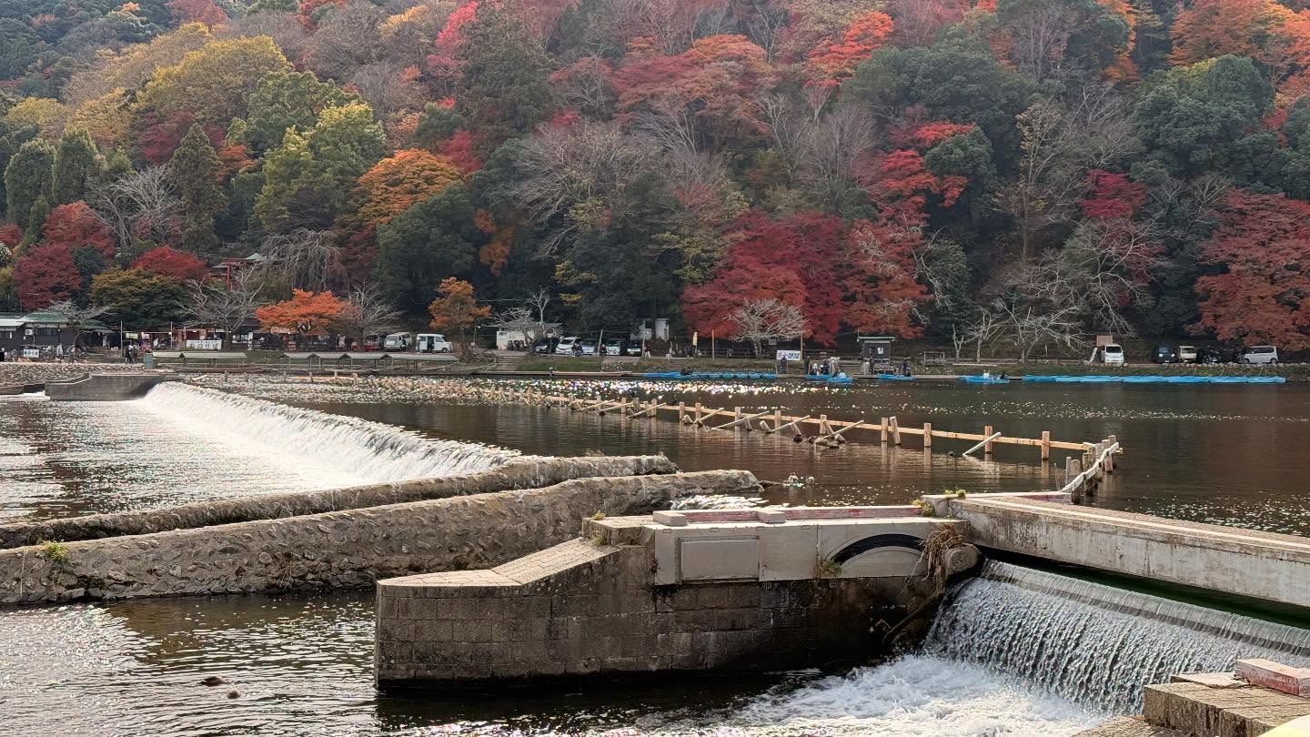 Walk about at the #Arashiyamariver (4)