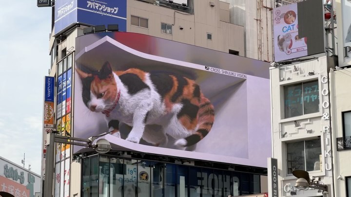 The Cat at #Shinjuku #tokyo #japan #3dadvertising (7)