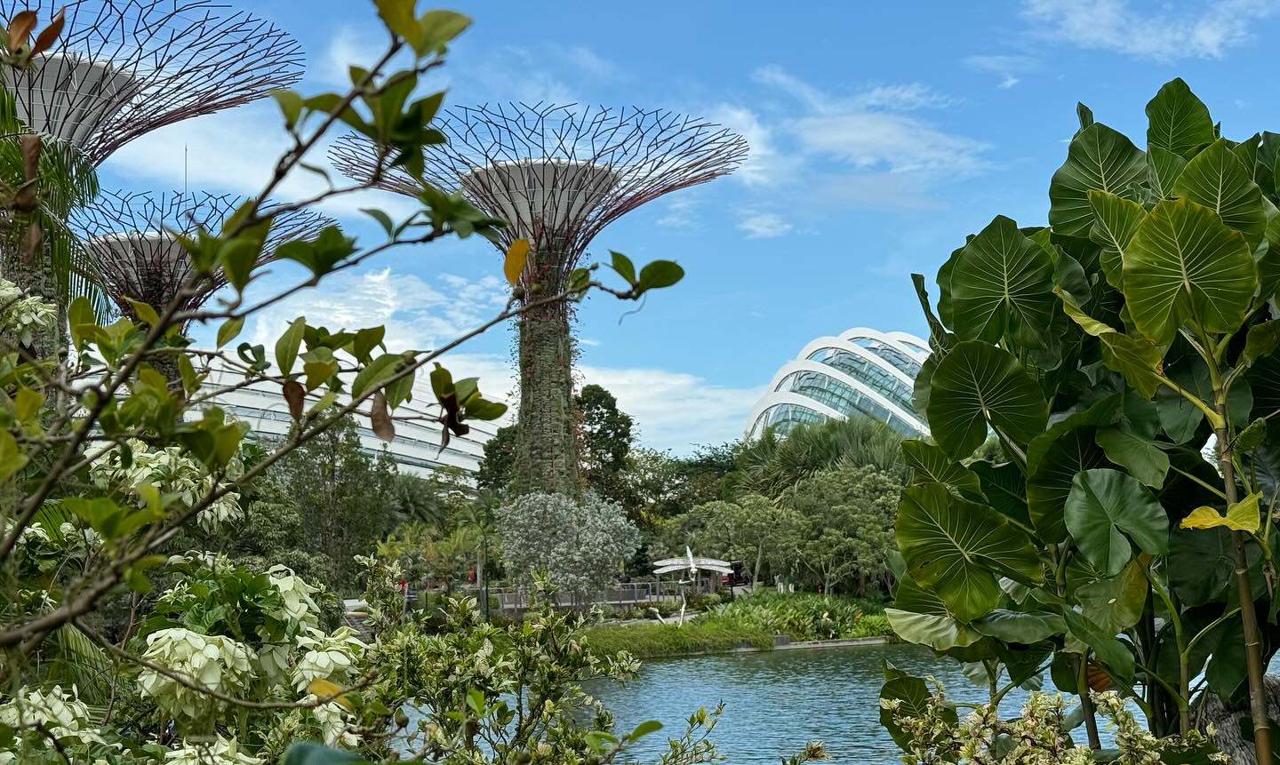 #GardensByTheBay Part 5 (2)