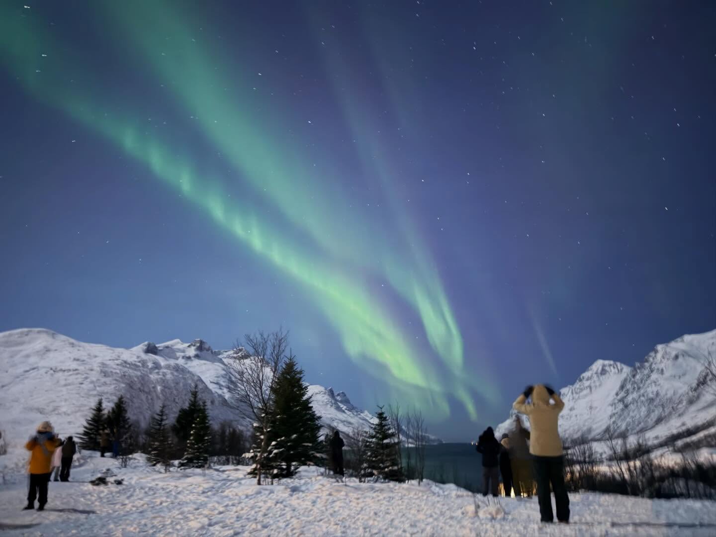 Here are my attempts to capture this natural phenomena (6)