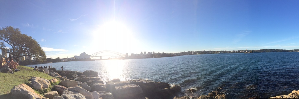  View of Sydney Opera House & Sydney Bridge from Mrs. Macquaries Point 